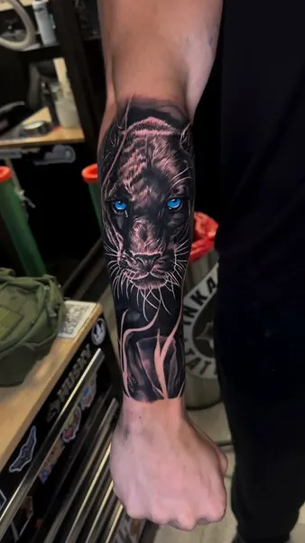 Animal, Tiger