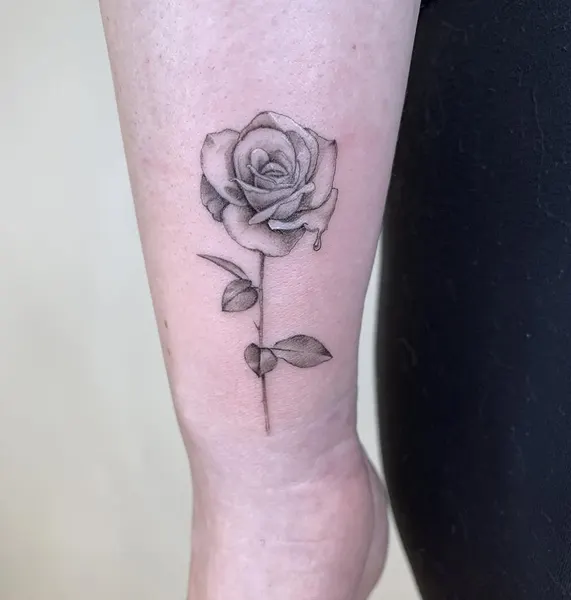 Flower, Rose