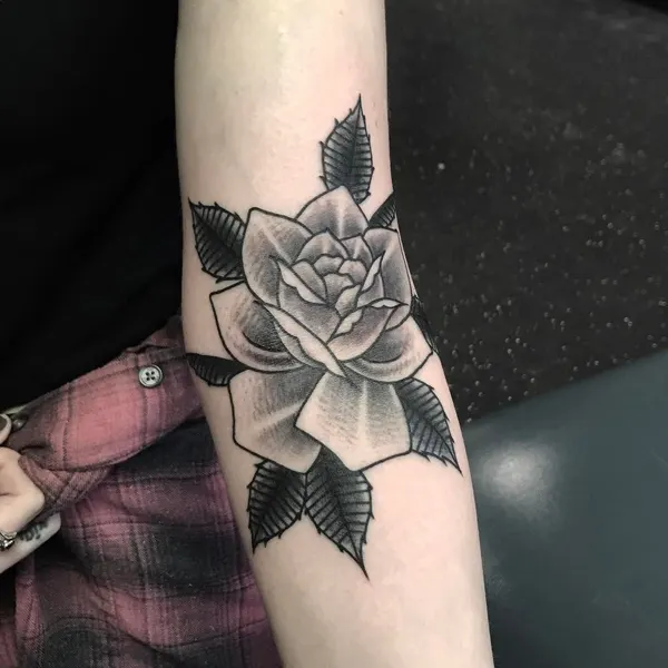 Flower, Rose