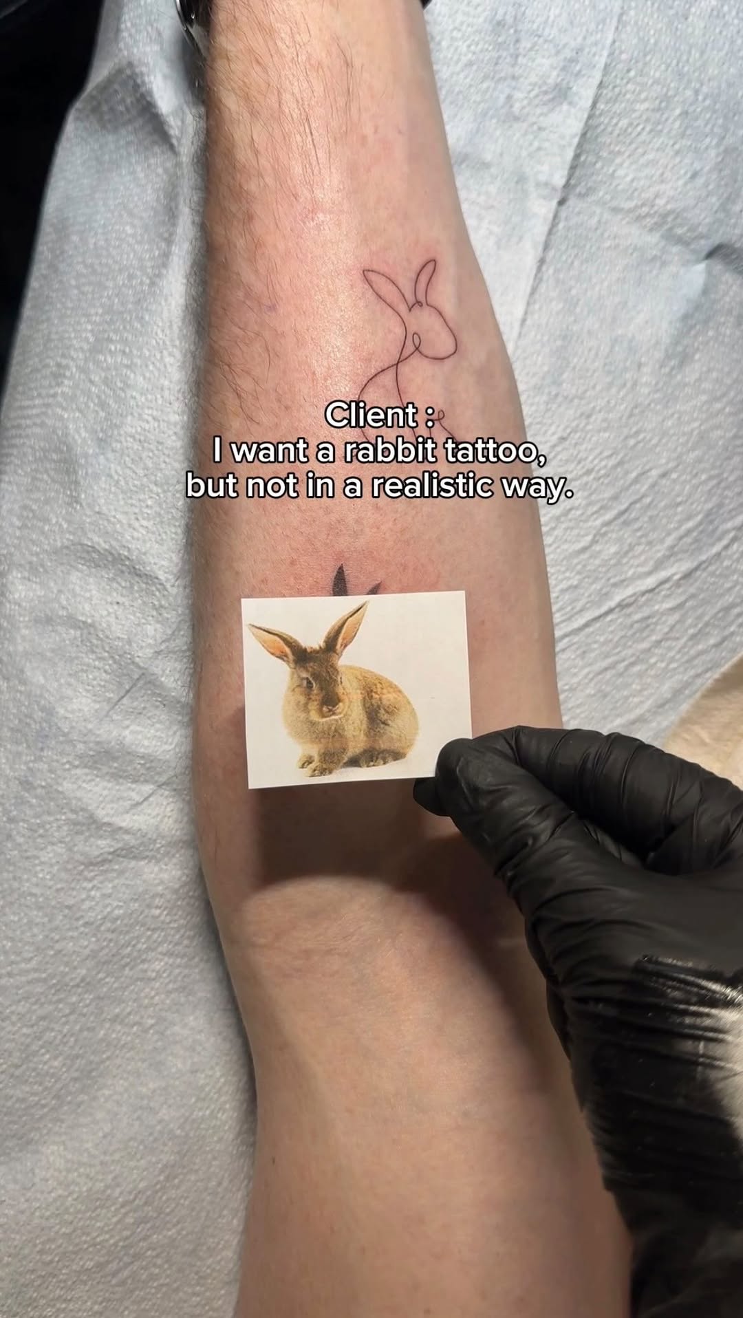 Animal, 토끼, Mini