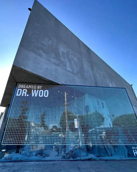 _dr_woo_
