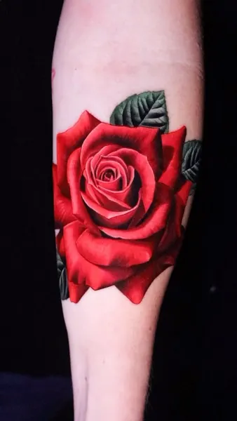 Flower, Rose