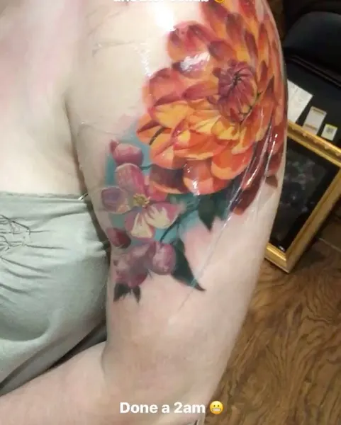 Flower, Rose, Nature