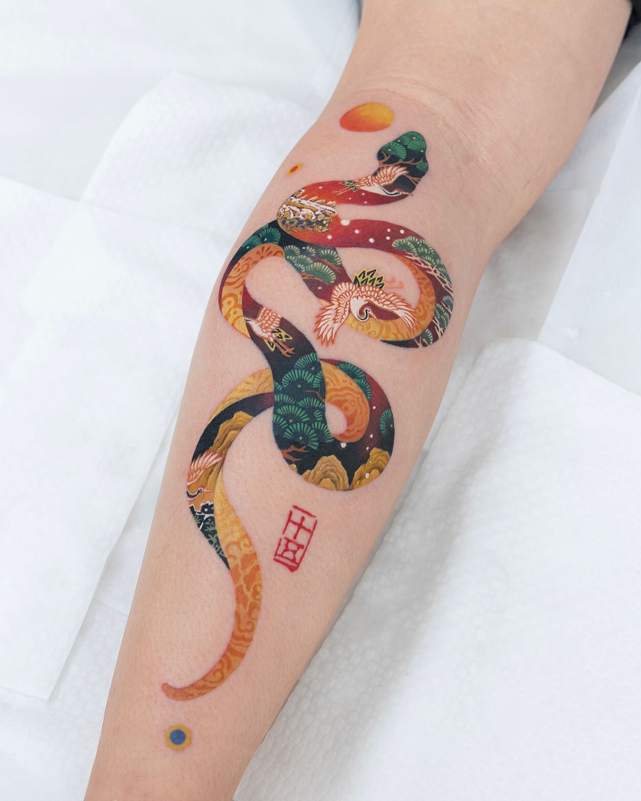 Dragon