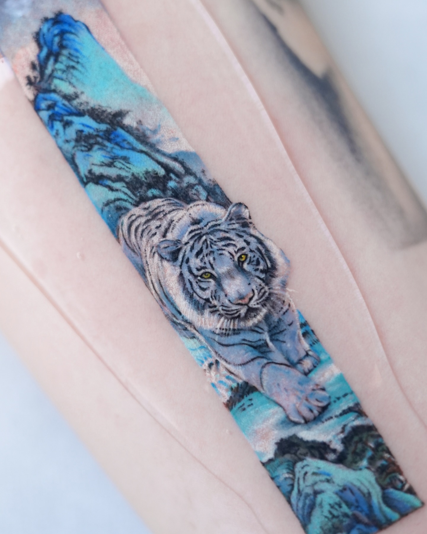Tiger