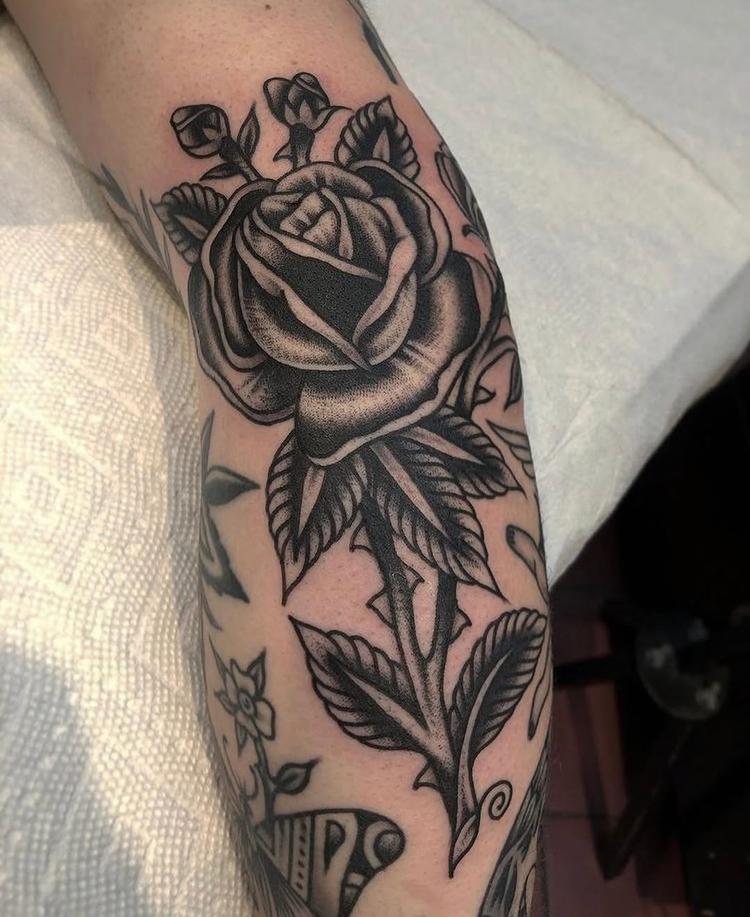 Flower, Rose