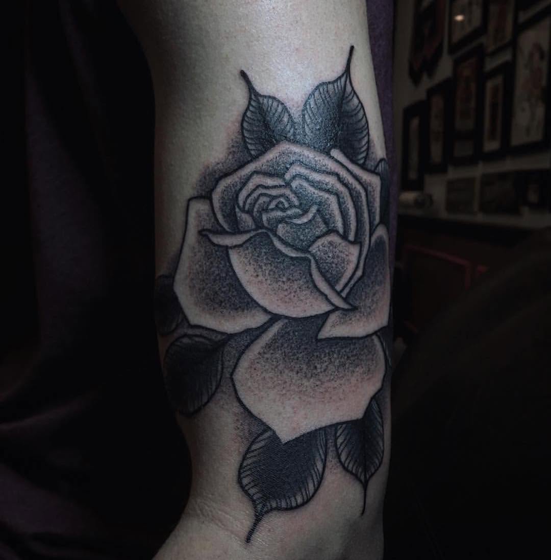 Rose, Flower