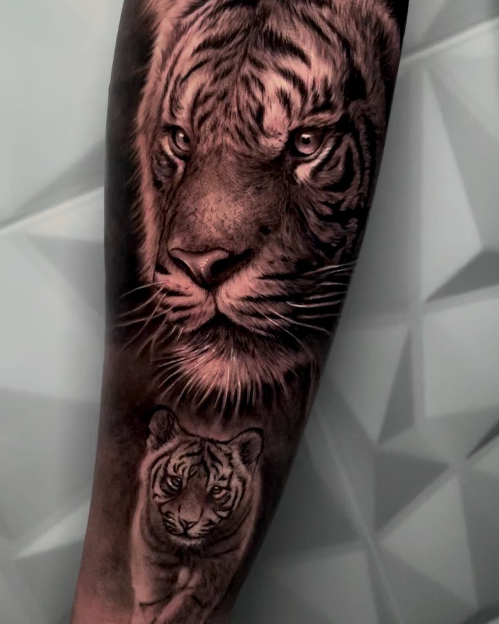 Tiger, 중국 호랑이, 치타