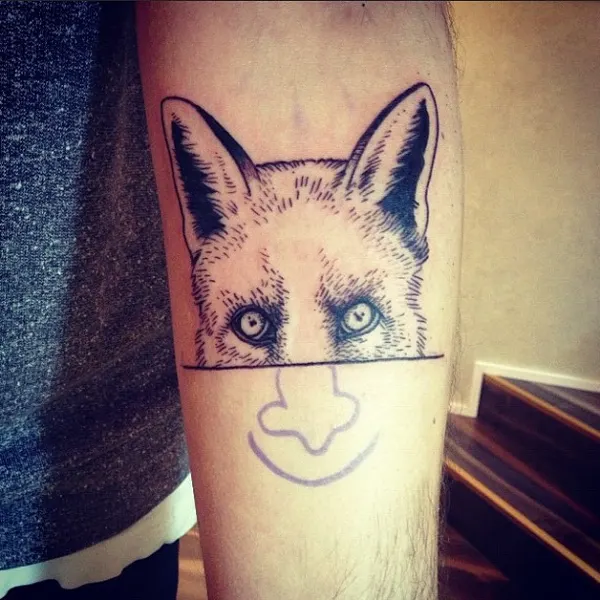 Animal