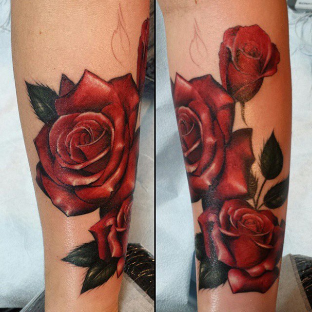 Flower, Rose