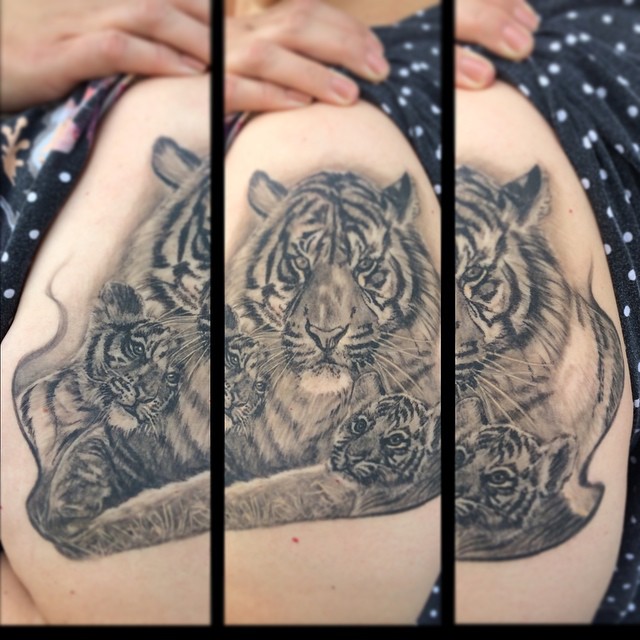 Tiger