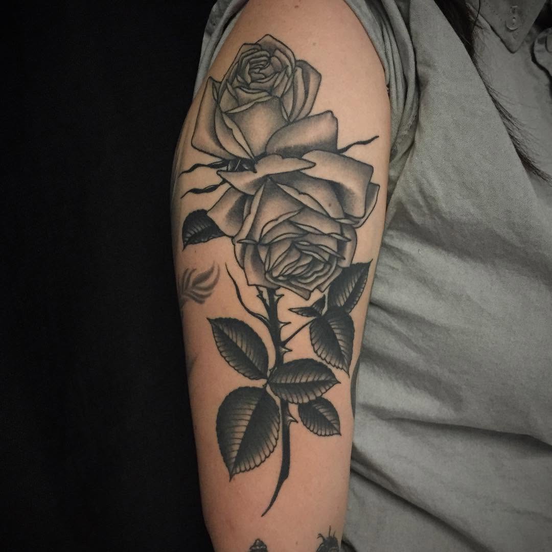 Flower, Rose, Nature