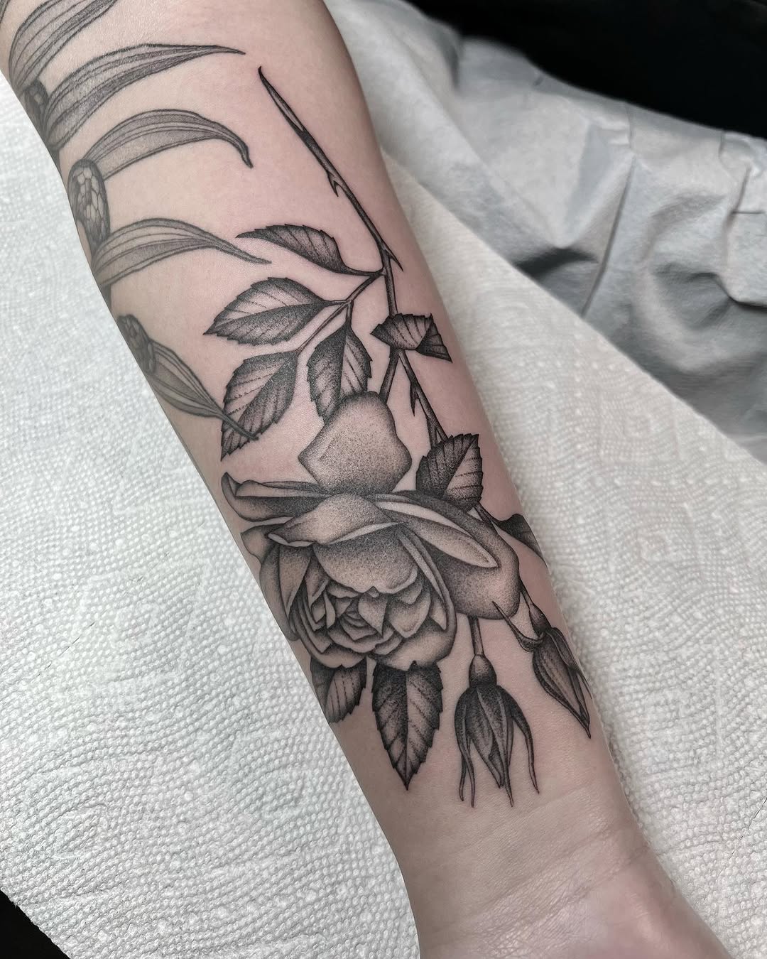 Flower, Rose