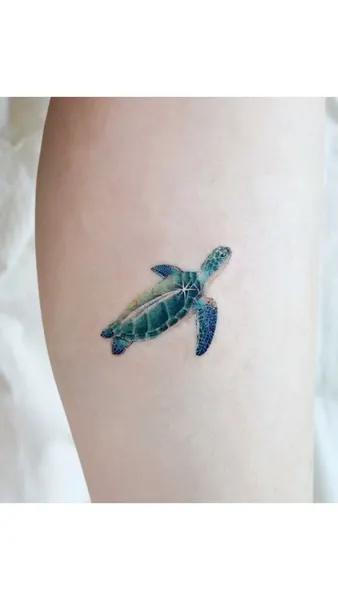 바다거북, 거북이