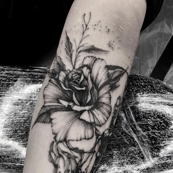 Flower, Rose