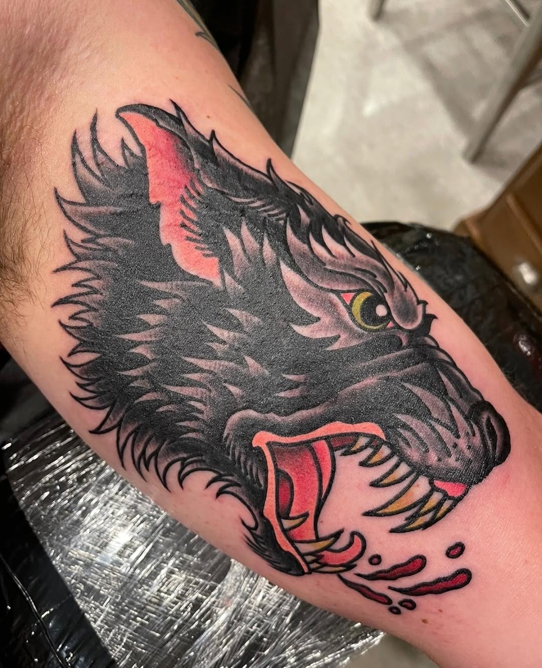 Tiger, Animal