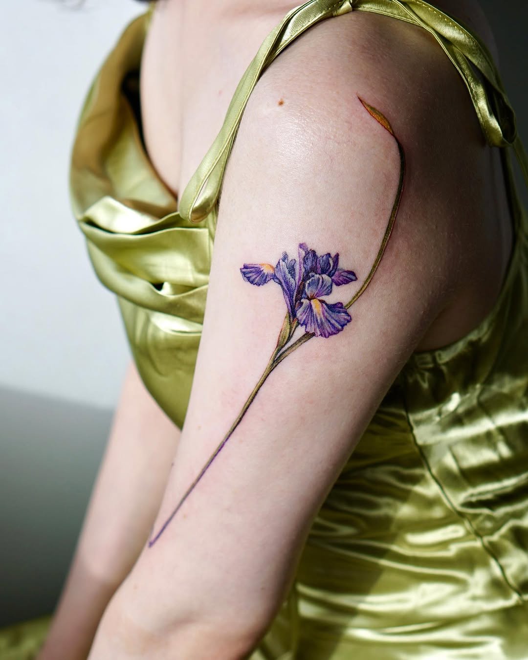 Flower, 난초, 라벤더