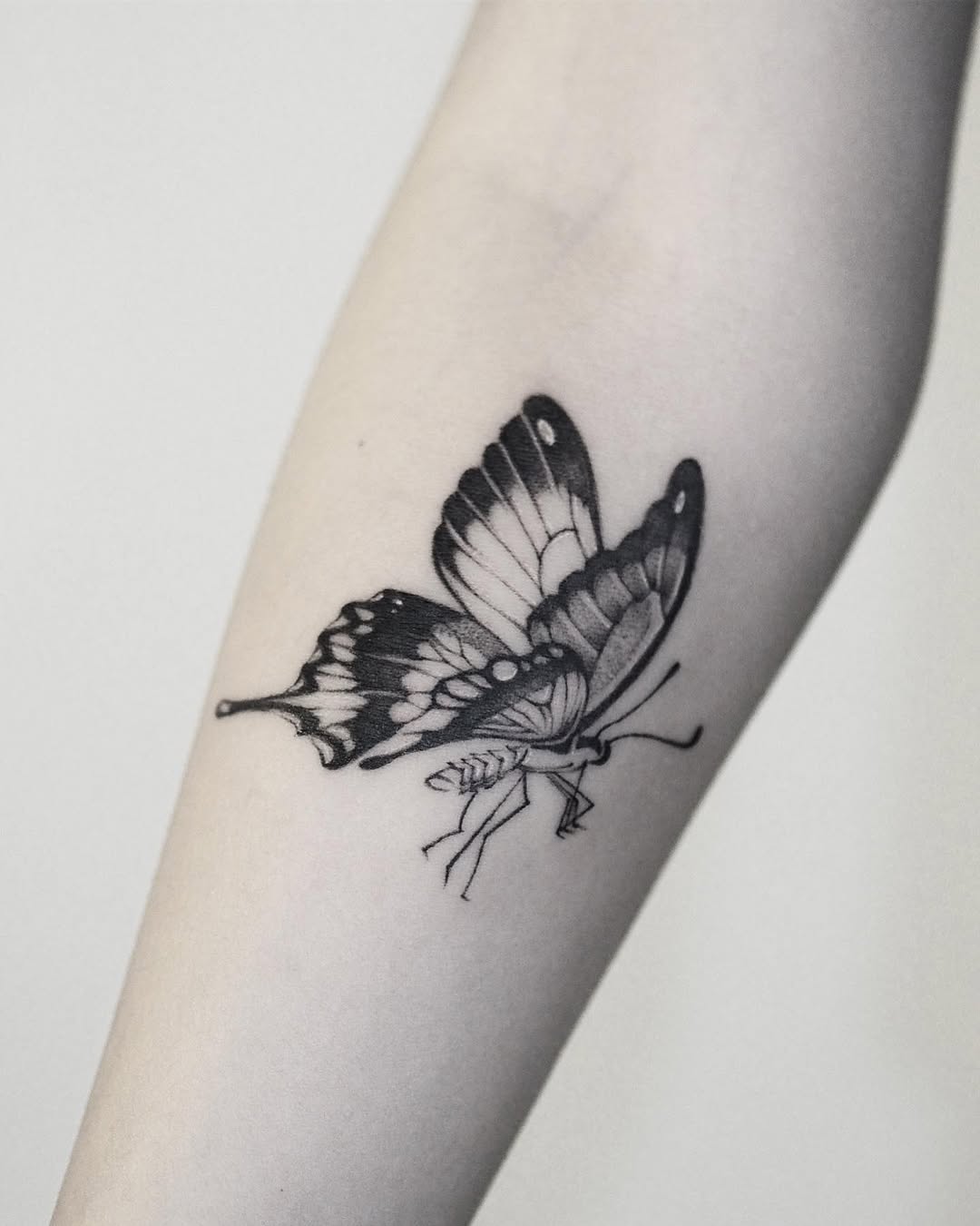 Animal, Nature