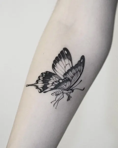 Animal, Nature