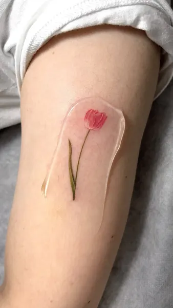 Nature, Mini