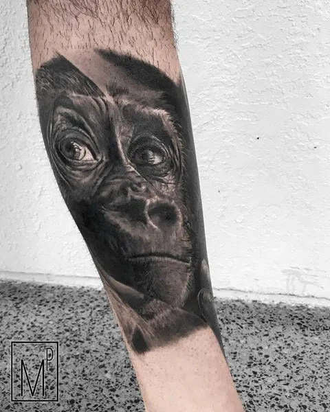 Tiger, Animal