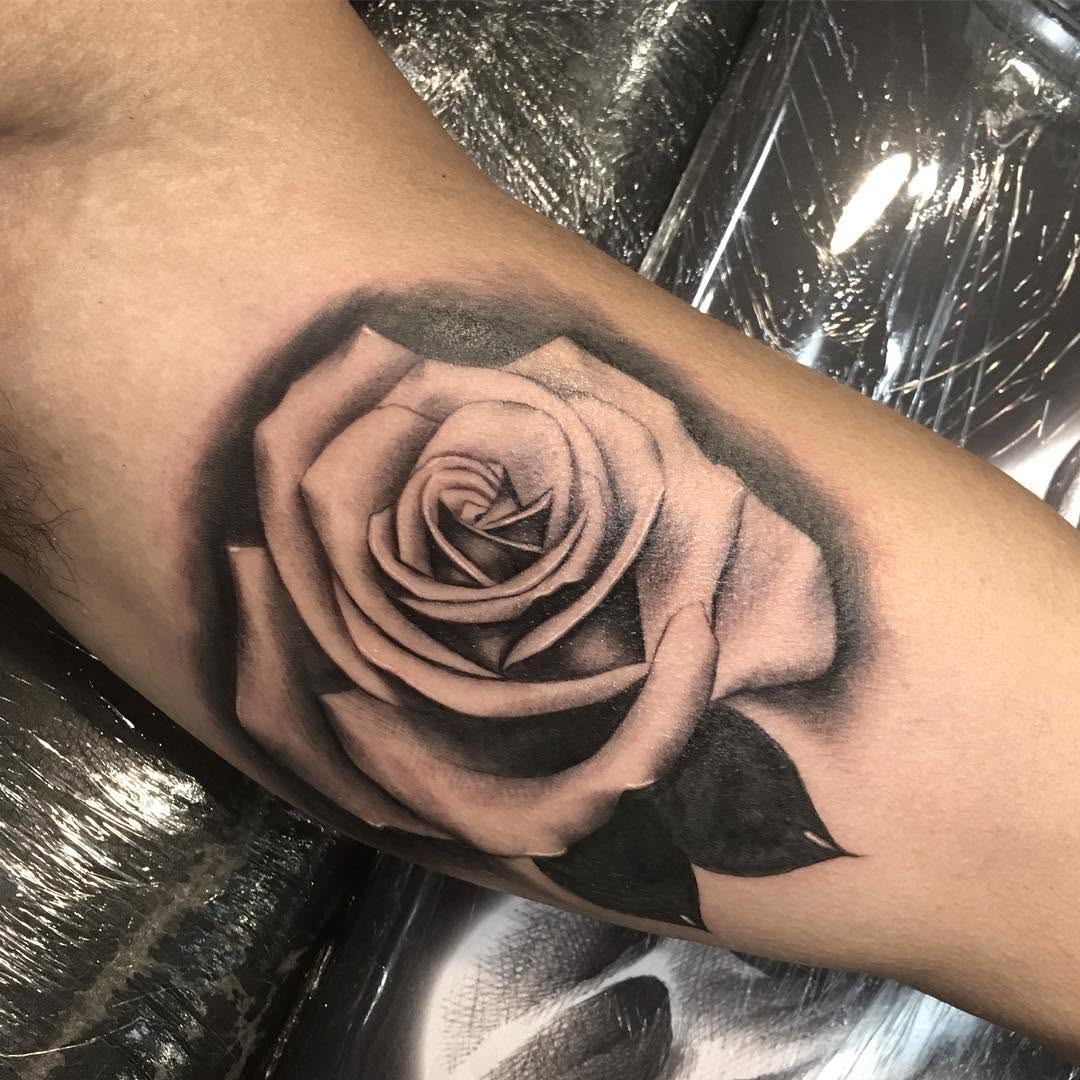 Flower, Rose