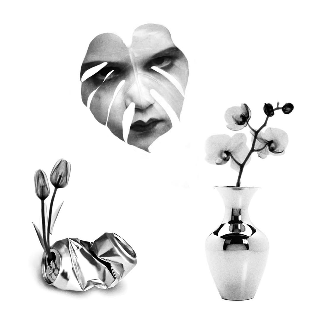 plantsnpokes