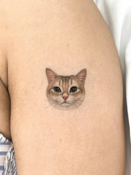 텐구, 함사, 고양이, 마네키네코, 여우 가면