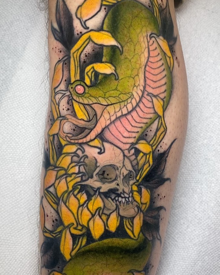 Dragon