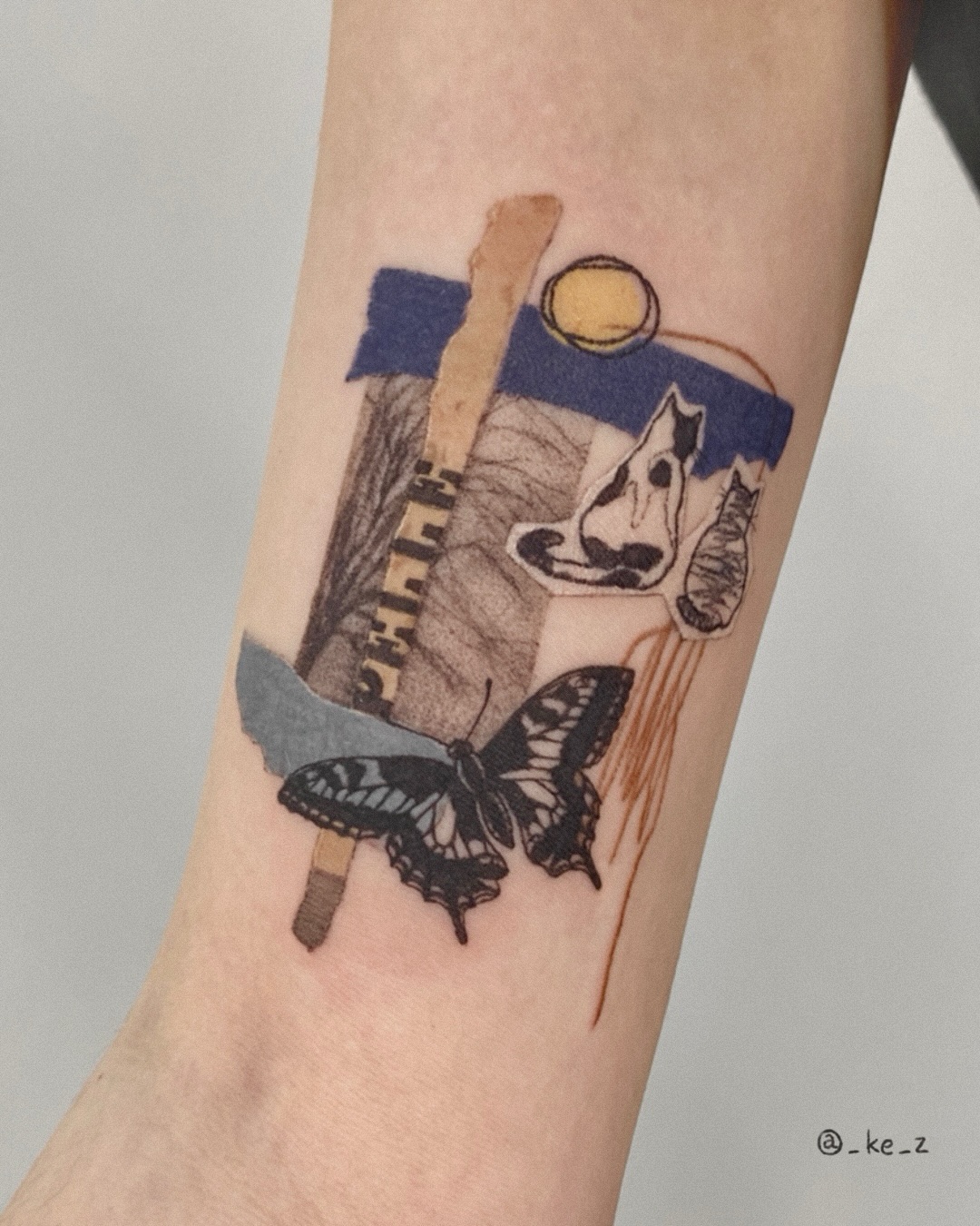 Animal, Nature, 잠자리, 매미