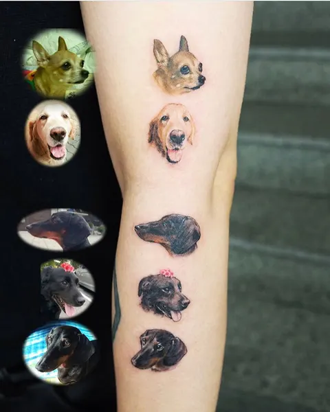 Animal