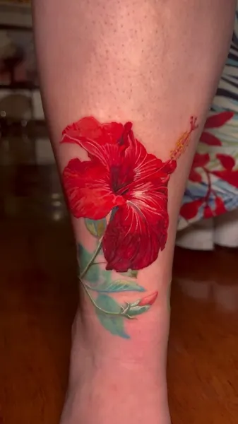 Flower, Nature