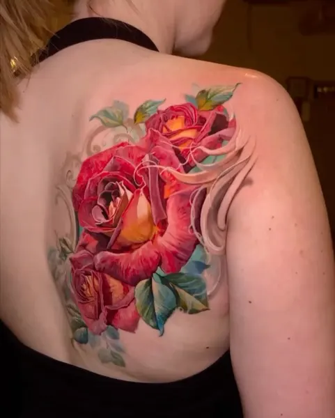 Flower, Rose, Nature