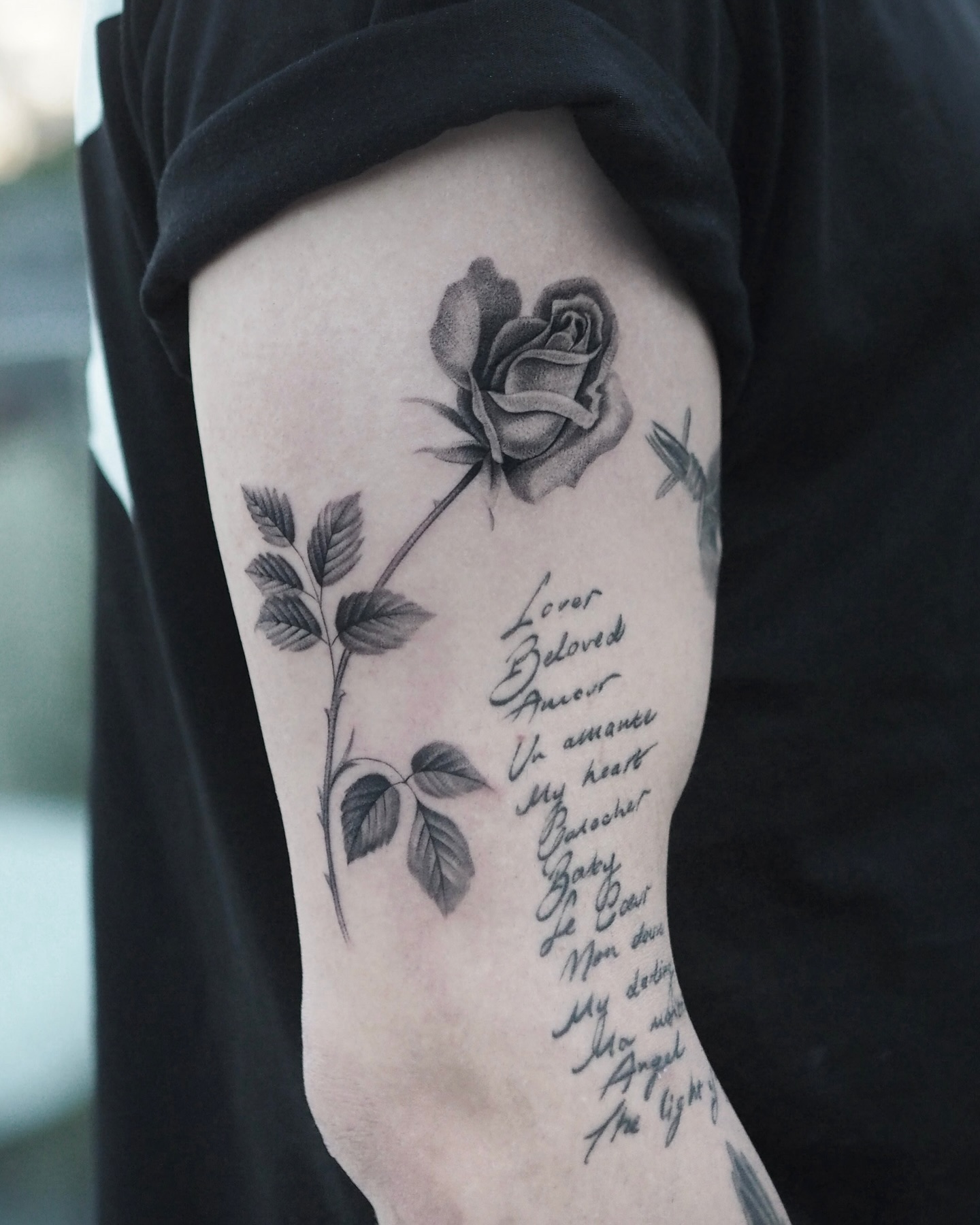 Flower, Rose