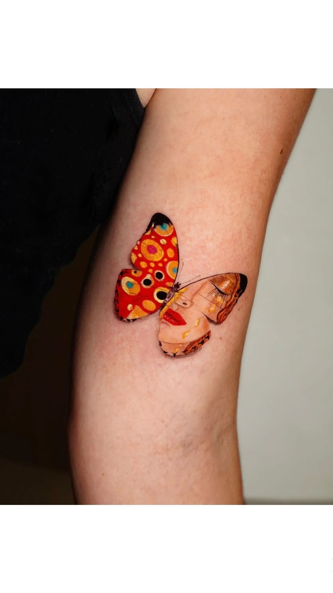 Animal, Nature, 나방