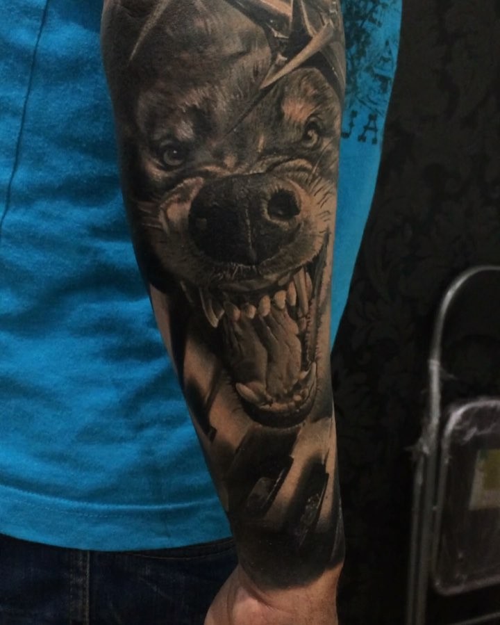 Tiger