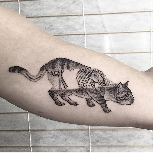 Tiger, 팬서