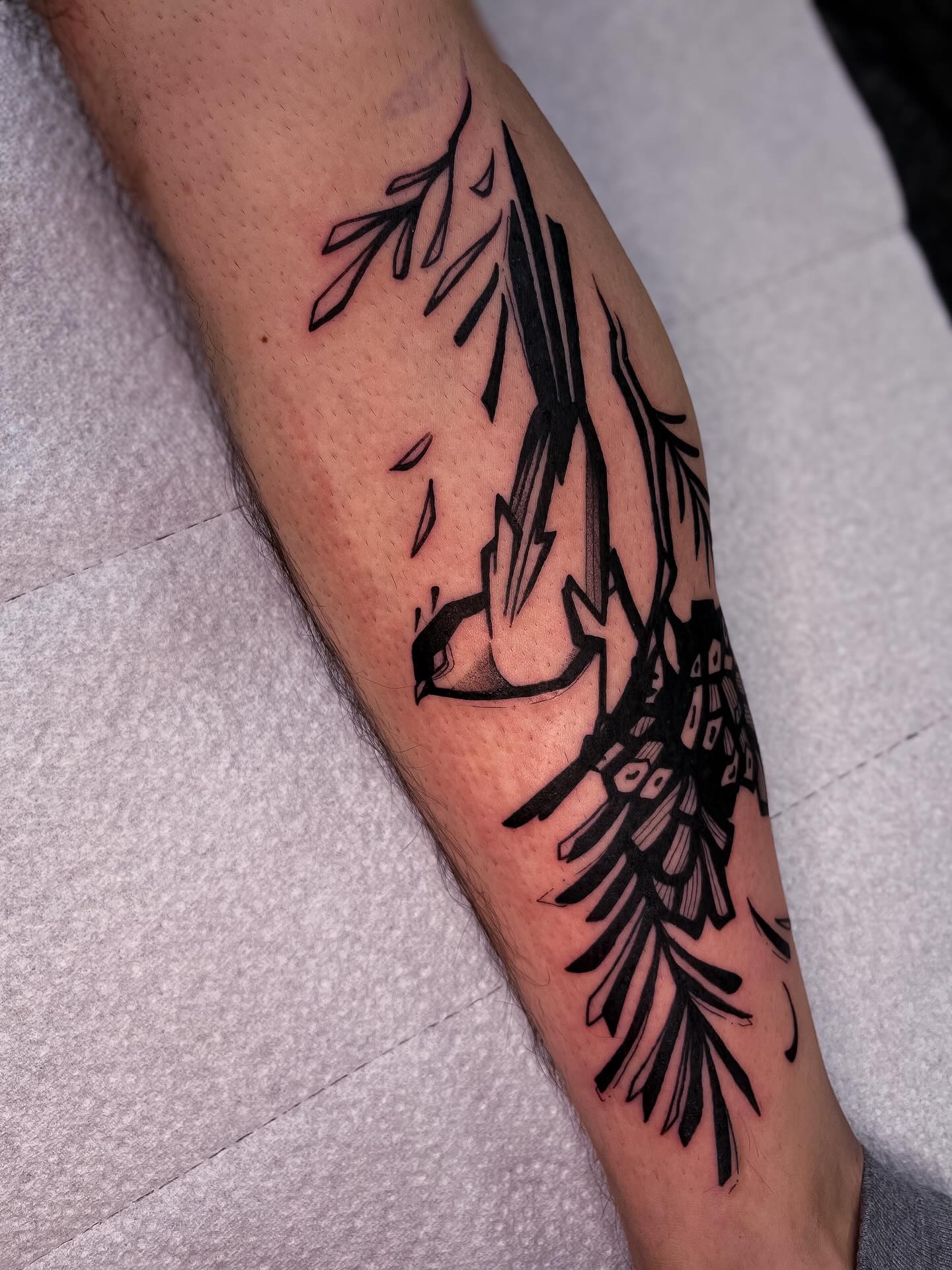 Animal, Nature