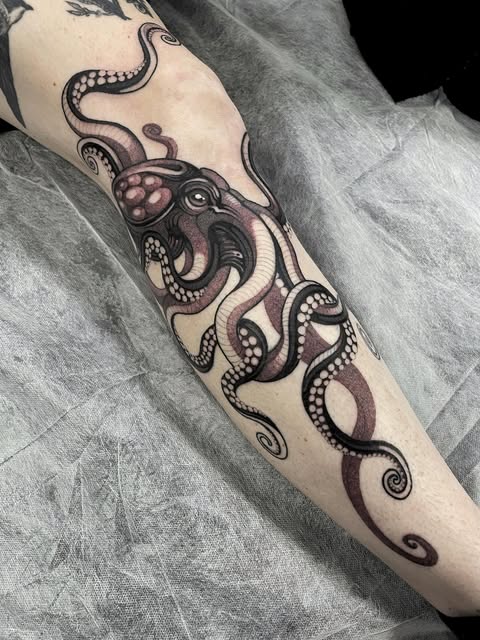 Animal, 문어, 크라켄