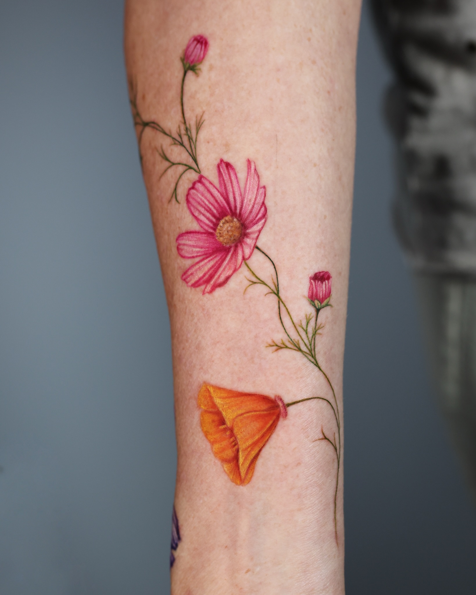 Flower, Nature