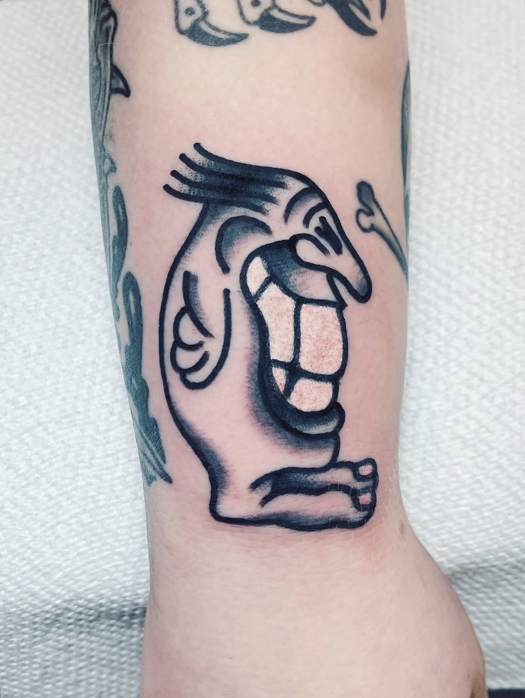 darius_cappelli