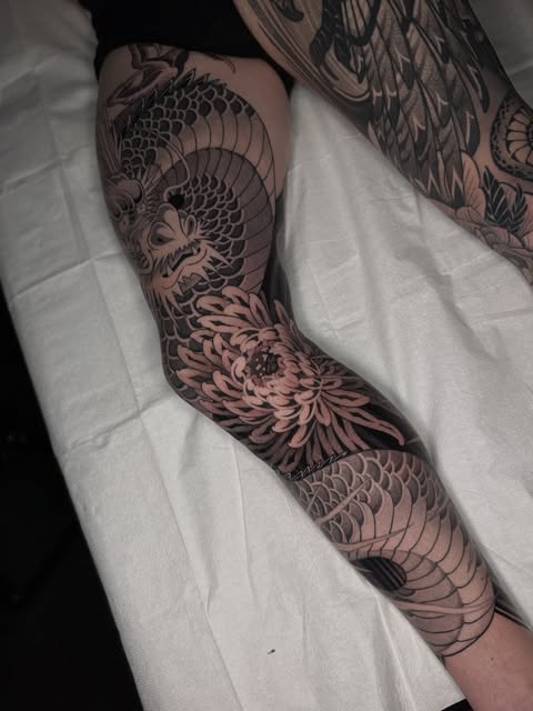 Dragon, Animal