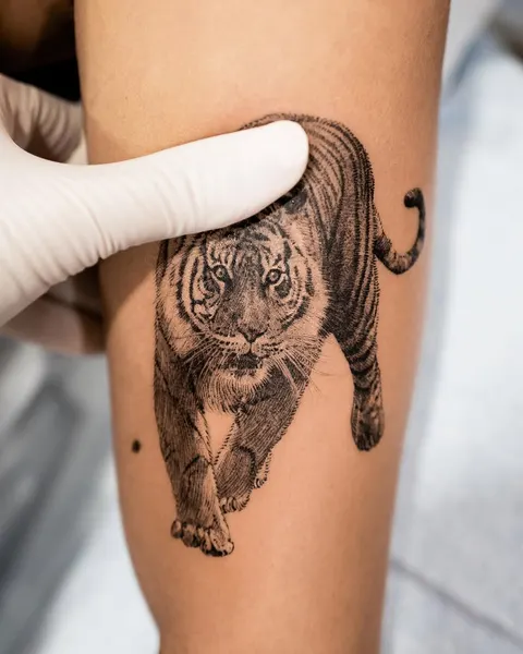 Tiger