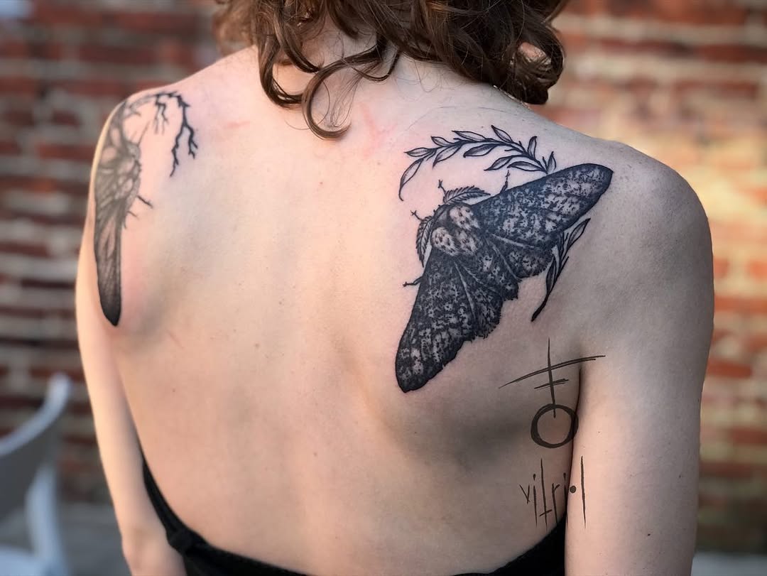 Nature, Animal