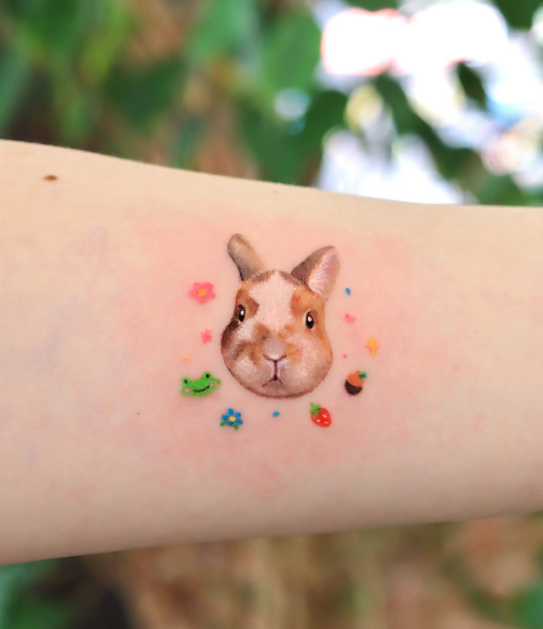 토끼, Animal