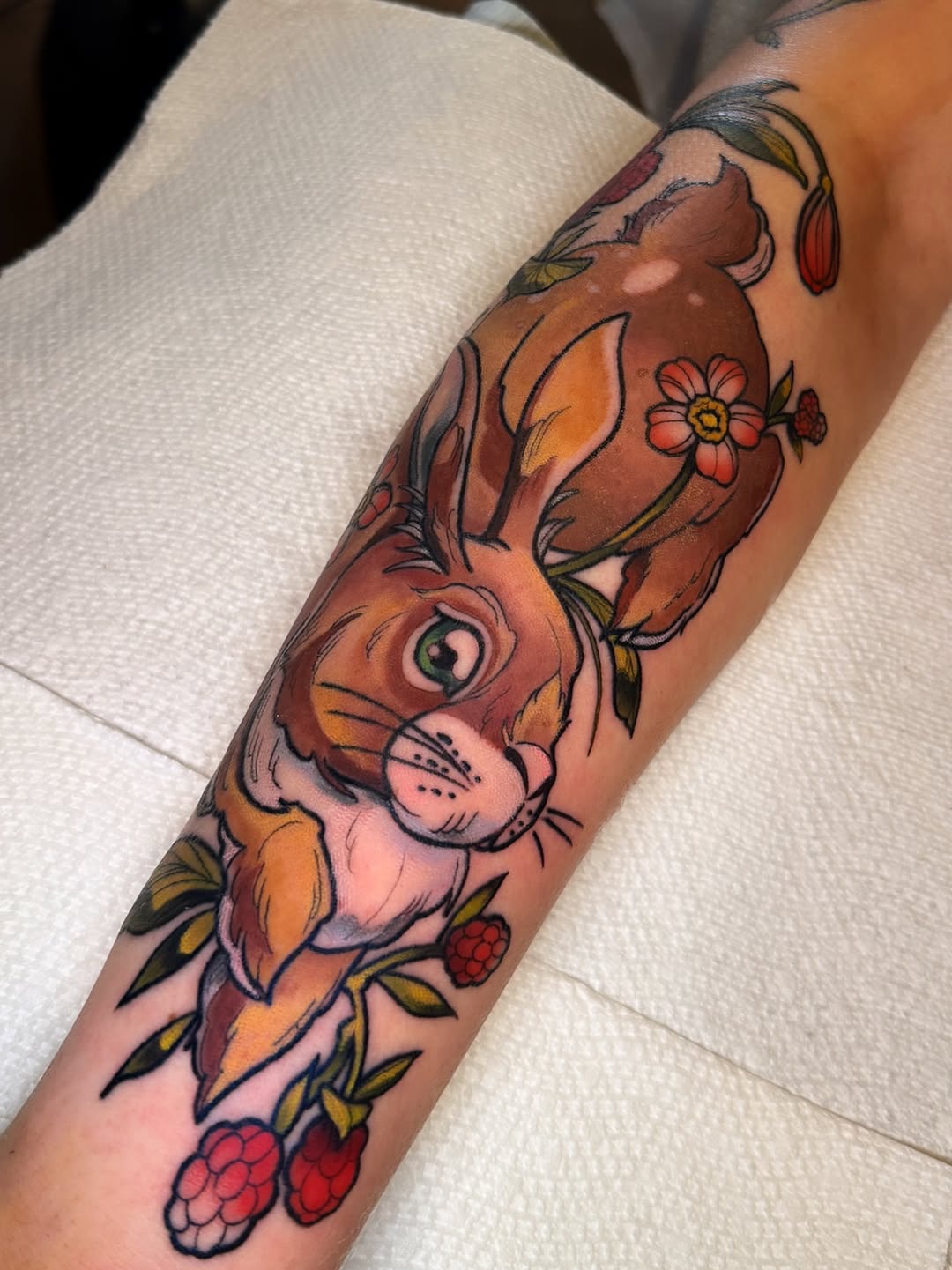 sarastigmata