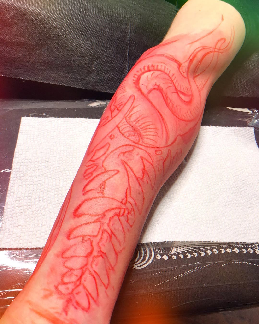 Dragon