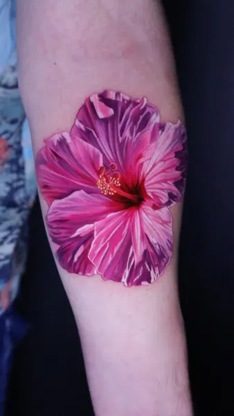 Flower, Nature