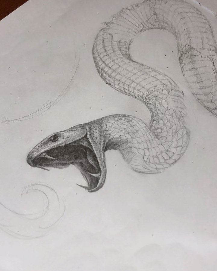 Snake