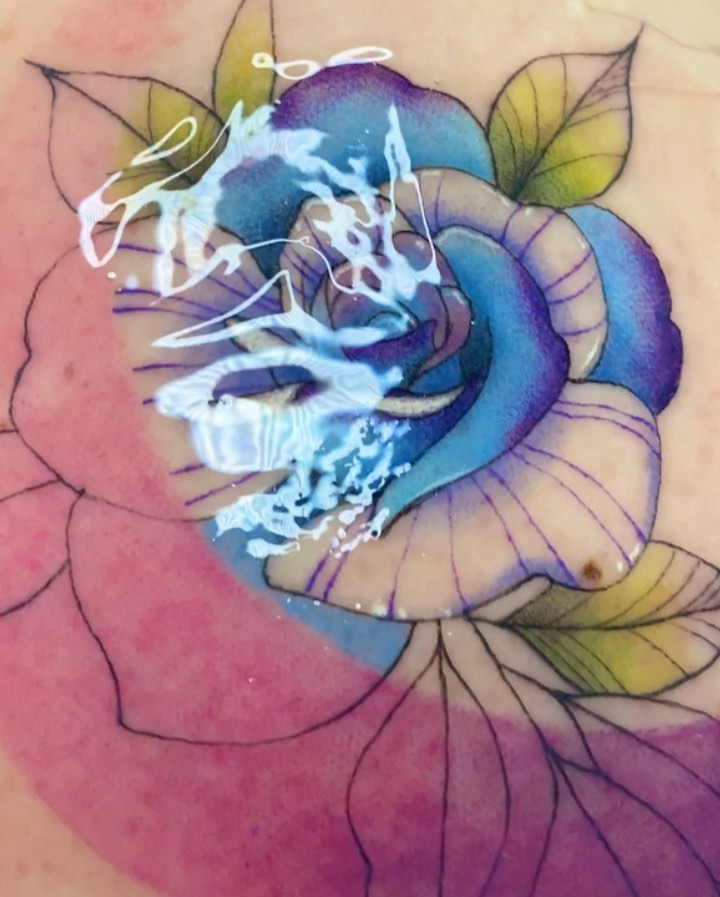 Flower, Rose